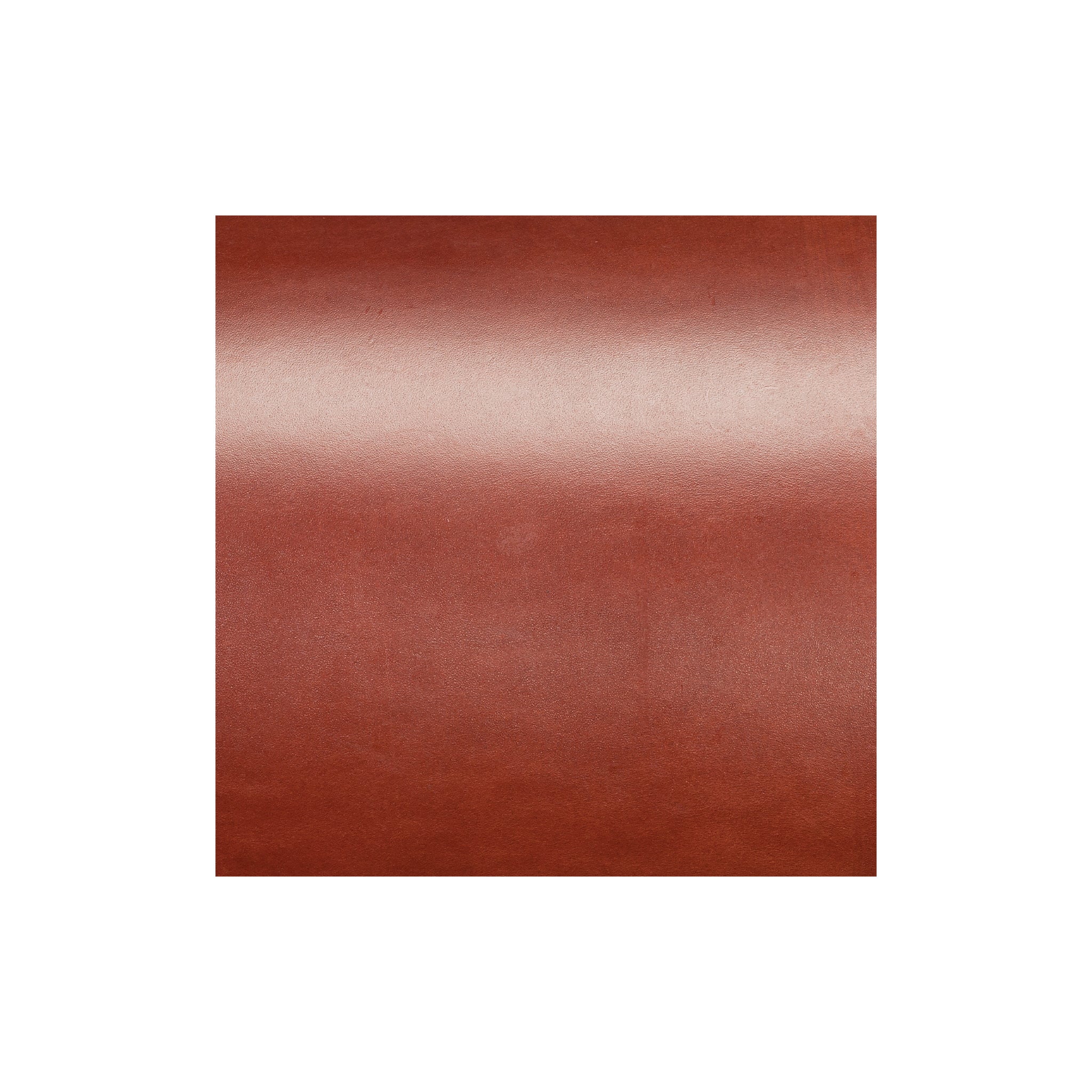 Sample, Hermann Oak® English Bridle Leather, 10 to 12 oz. - Image 10