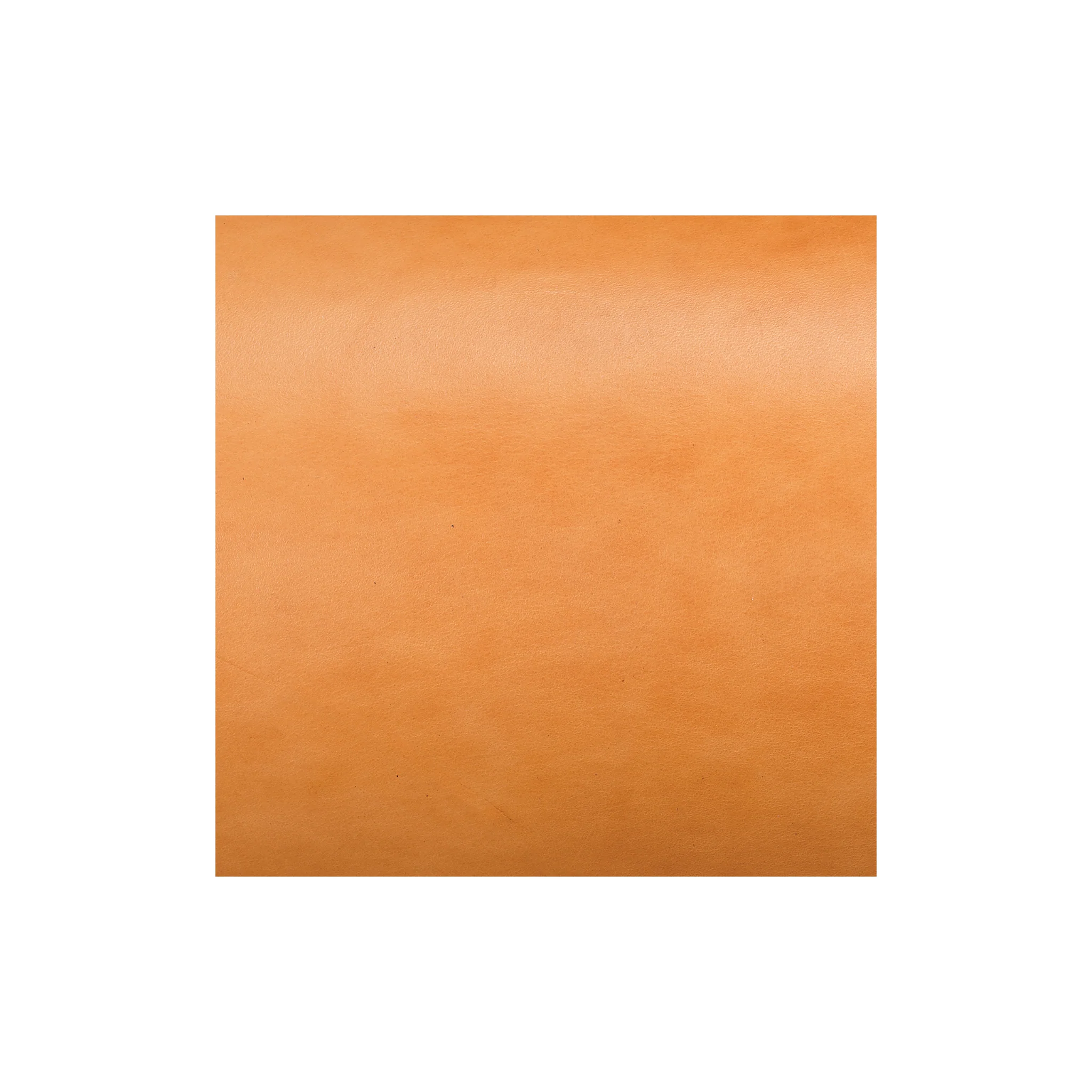 Sample, Hermann Oak® English Bridle Leather, 10 to 12 oz. - Image 12