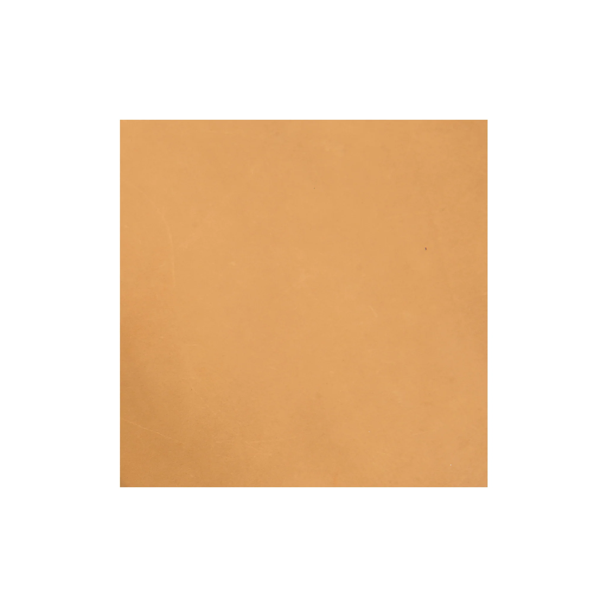 Sample, Pioneer Chrome Oil Tanned Top Grain Leather Side, 6-7 oz. - Image 4